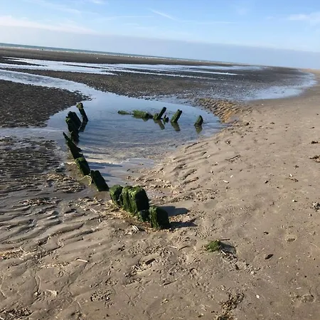 Cap Des Pins كويند